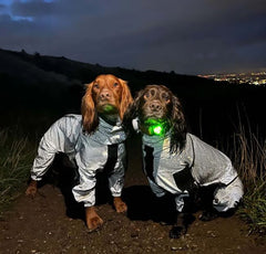 Prime waterdichte hondenregenjas